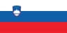Slovenia flag