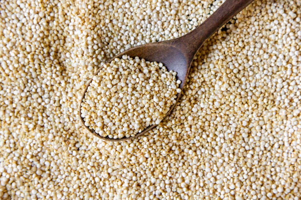 Quinoa: The Superfood Grain and Its Growing Popularity