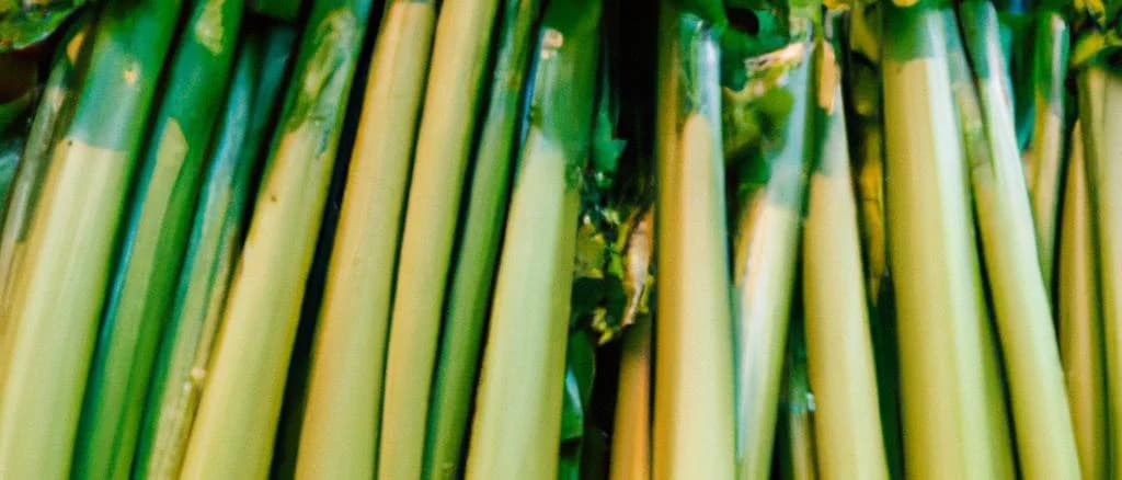 fresh celery stalks with various packaging types against a simple background