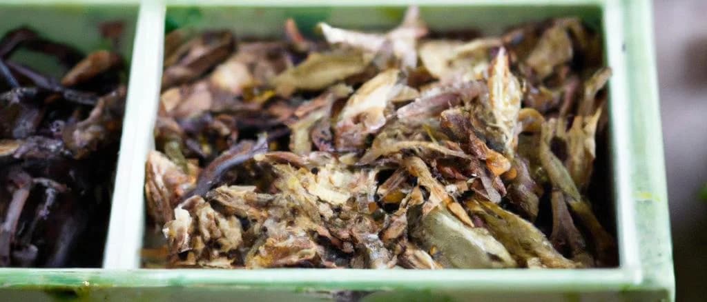 assortment of fermented tea products with different packaging