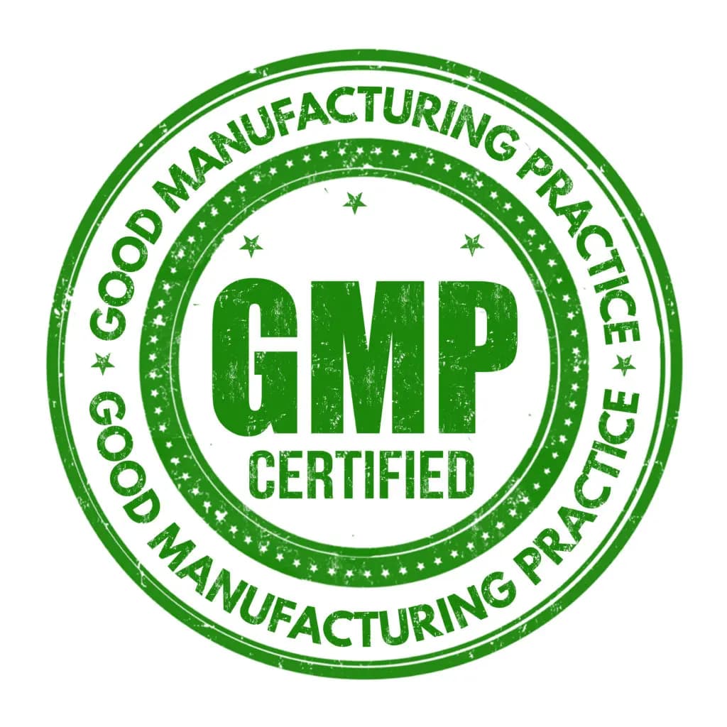 What are the GMP Guidelines?