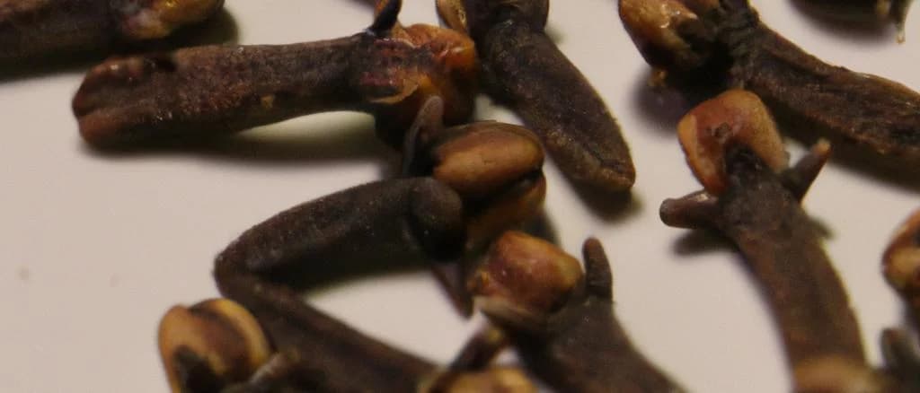 various whole cloves on a wooden surface with different packaging options