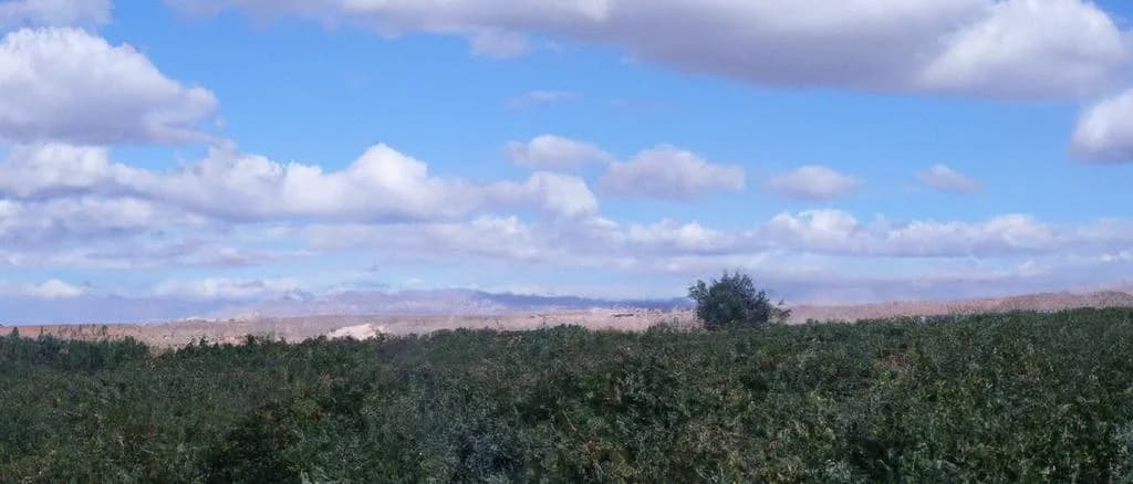 Wines From Chile image