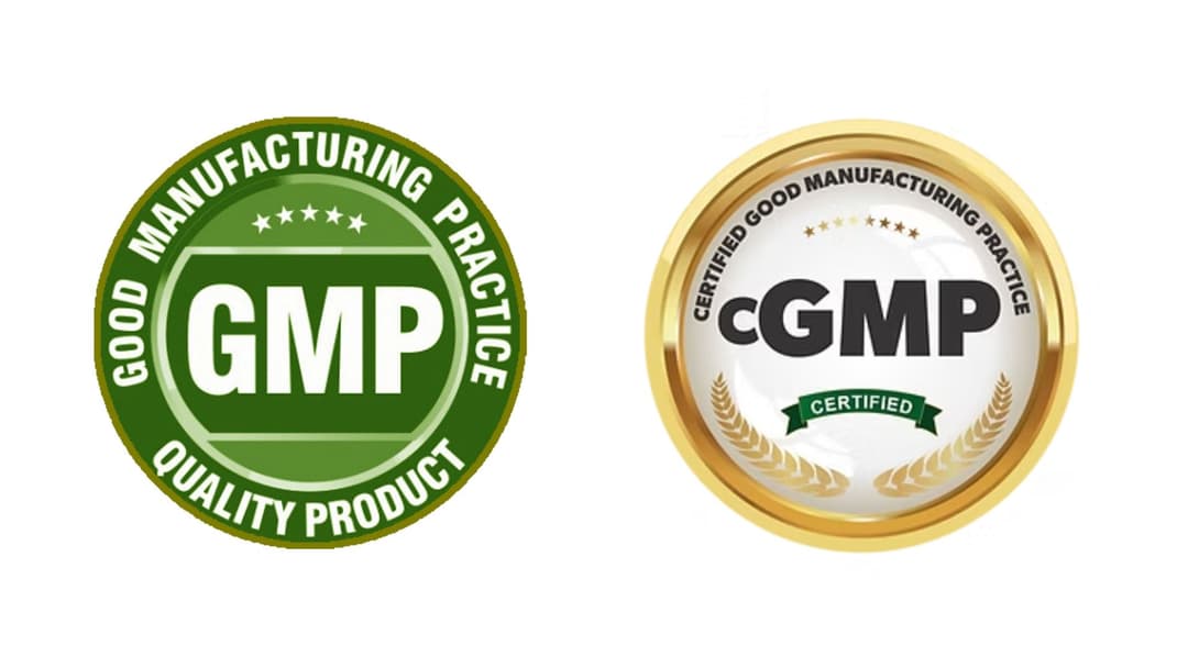 cgmp vs gmp