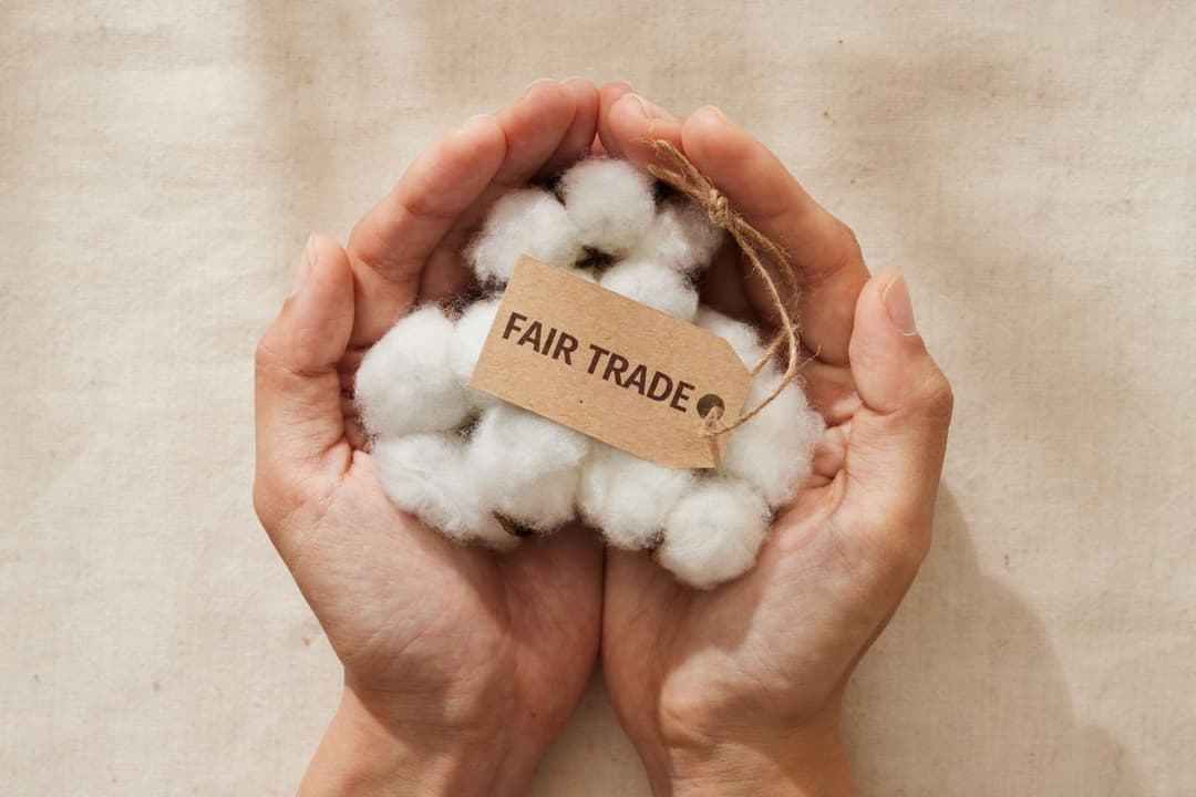 Top 10 Fair Trade Products and Where to Buy
