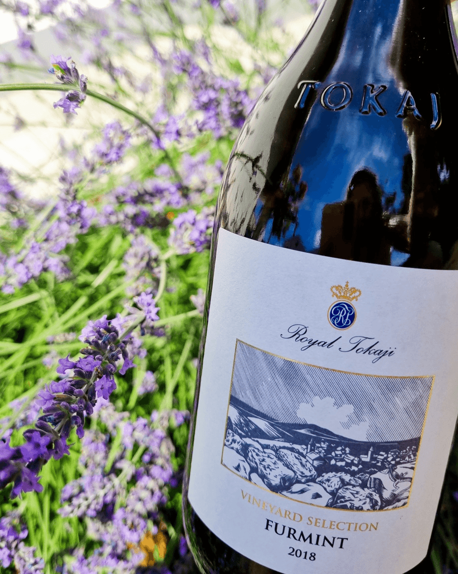 Royal Tokaji: Preserving Hungary’s Liquid Gold