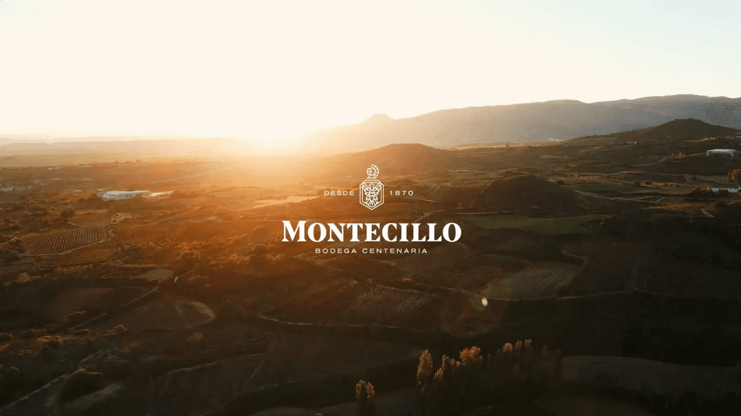 Bodegas Montecillo: Rioja’s Legacy with a Modern Touch
