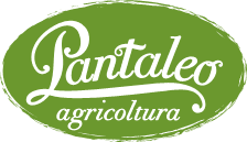 Pantaleo Agricoltura logo