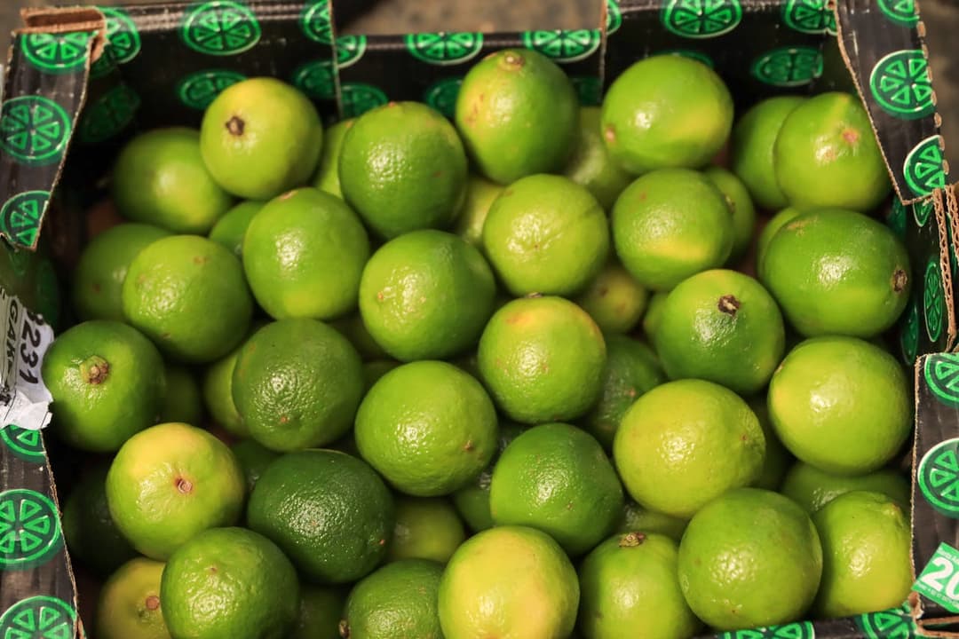 What is a Wholesale Trade? A Guide for Buyers & Sellers