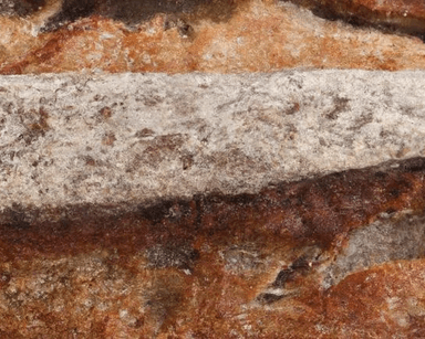 Baguette Made With Type T55-T110 Flour category