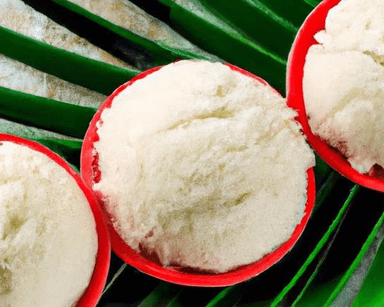 Coconut Sorbets category