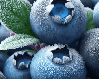 Frozen Blueberries category
