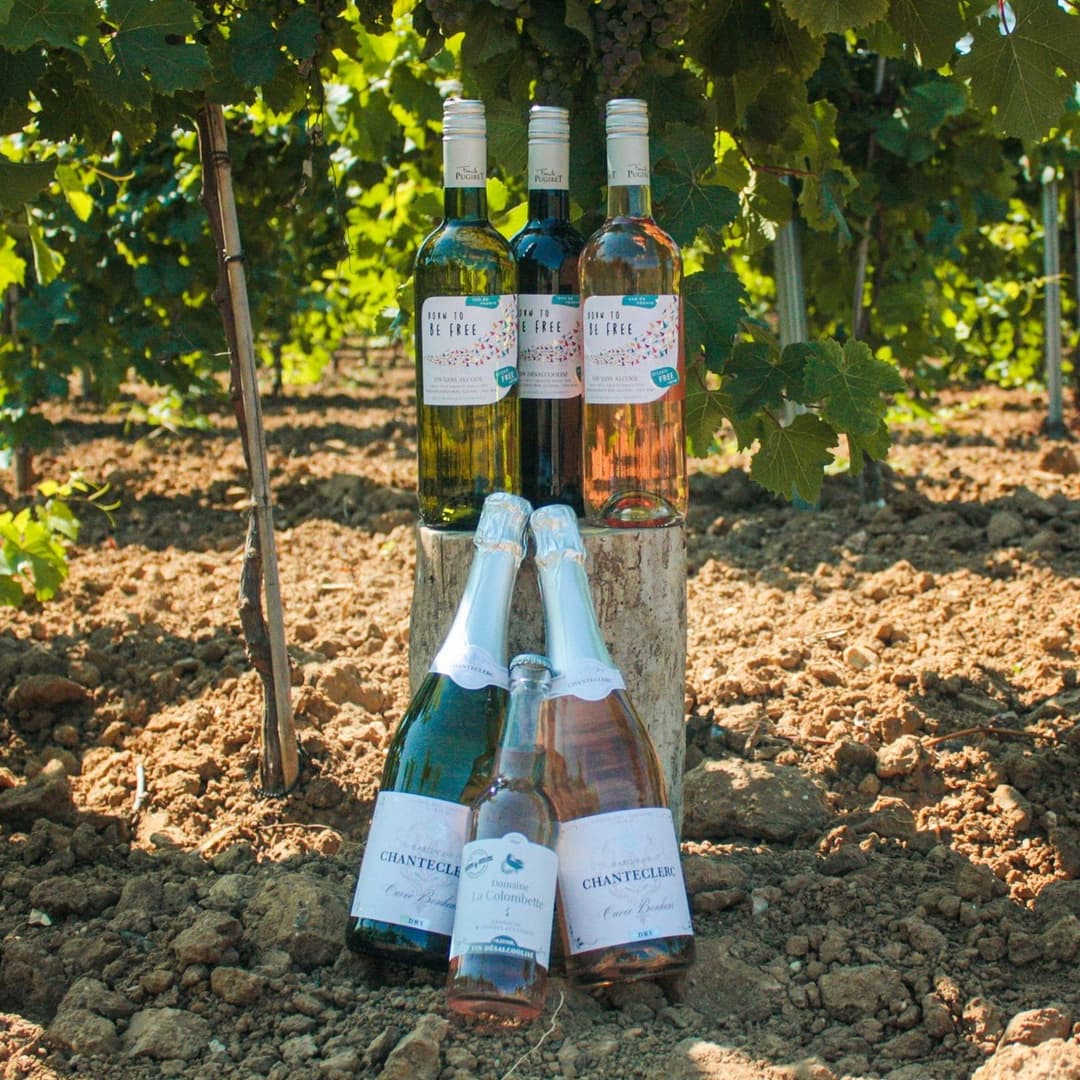 Domaine La Colombette