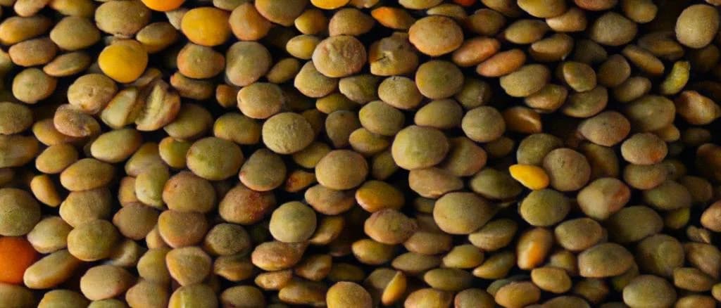 three variations of decorticated lentils in various packaging styles on a wooden table