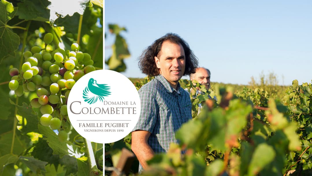 Domaine La Colombette: Wine Without Limits