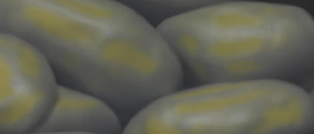 vacuum packed steamed potatoes with varying packaging options