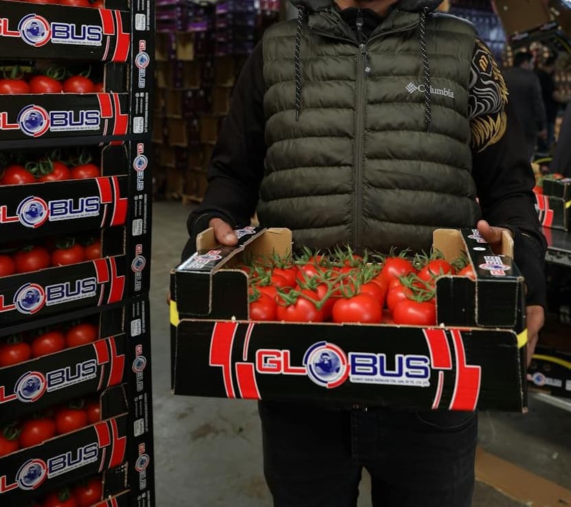 man holding a box of tomatoes