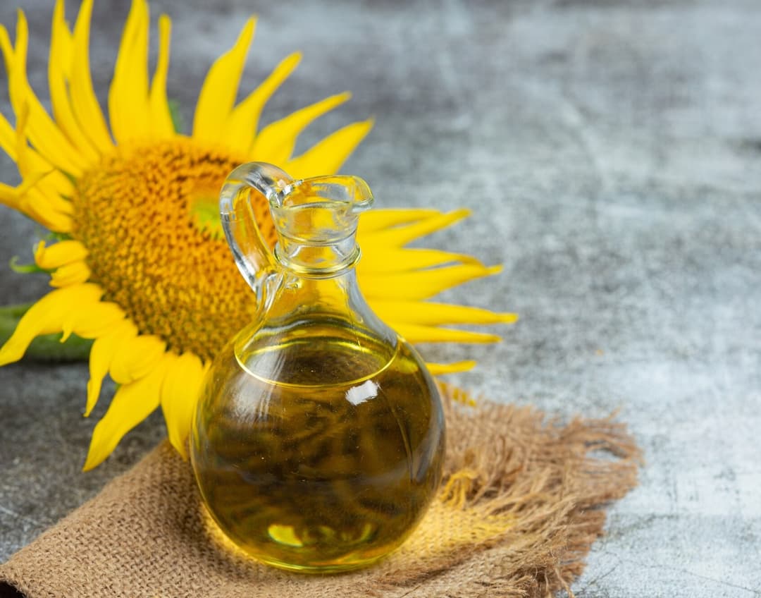 Sunflower Industry Spotlight: From Field to Global Market