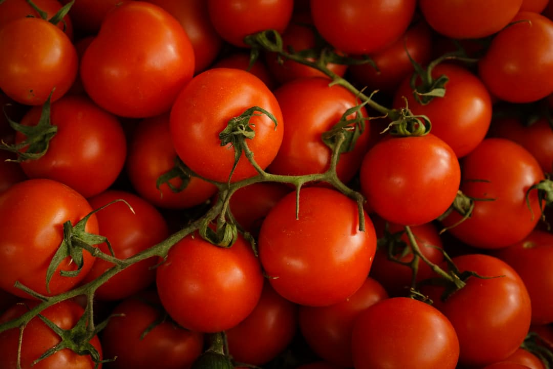 Red tomatoes